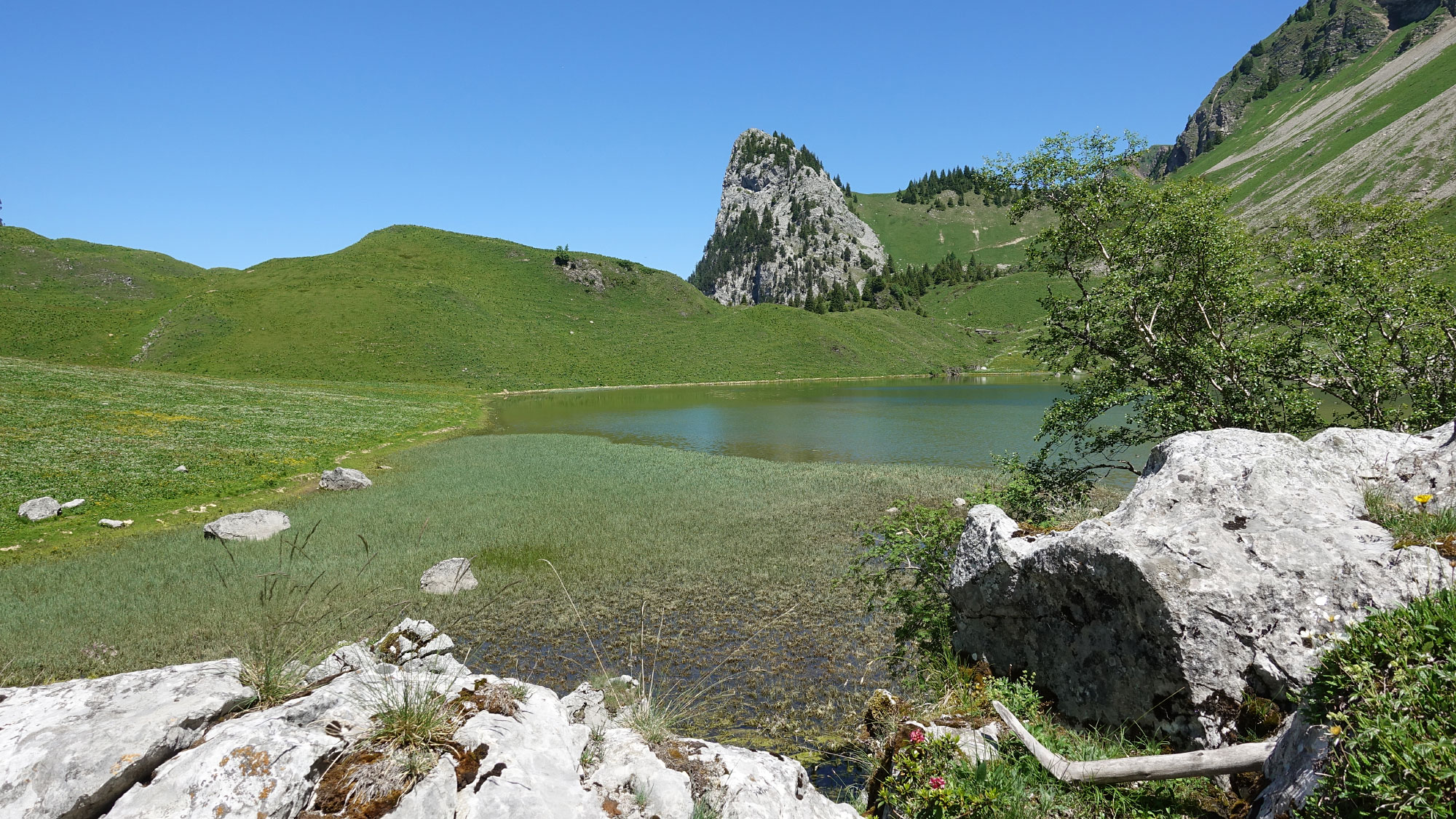 Lac de Lovenex